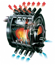 ������������ ����